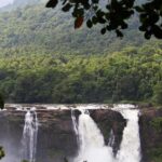 pexels mkbasil 247041