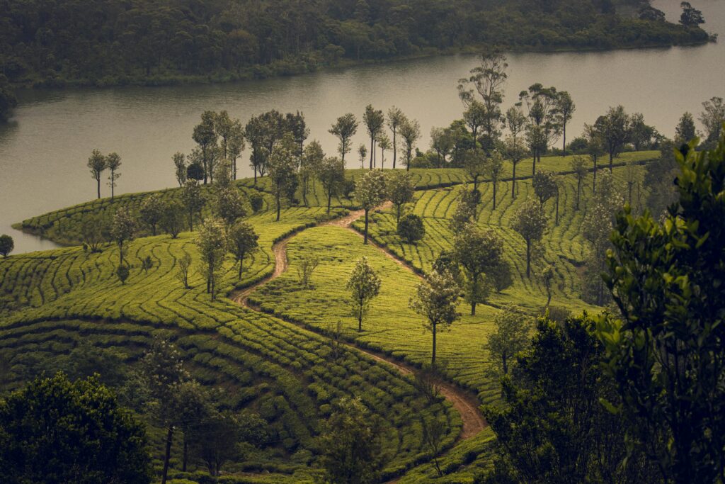 Adtration munnar trip package exlore placess