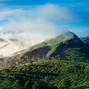 pexels nandhukumar 14844301